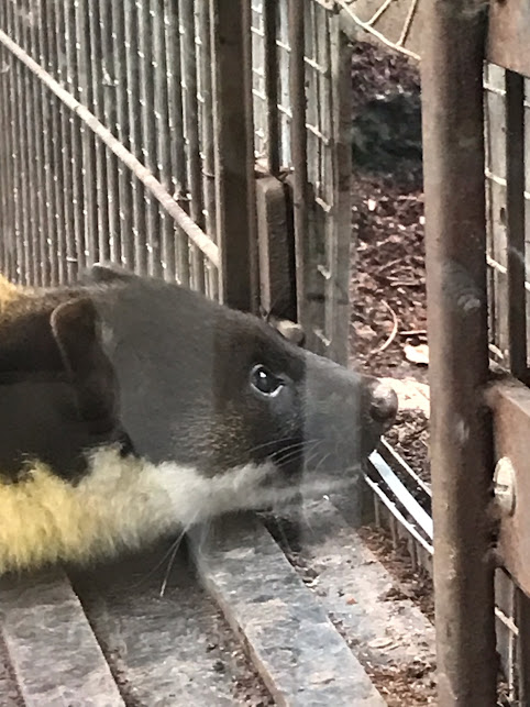 Vivre l&rsquo;animal