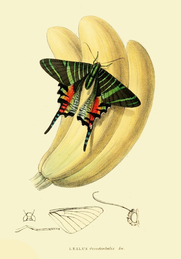 L&rsquo;instant éternel