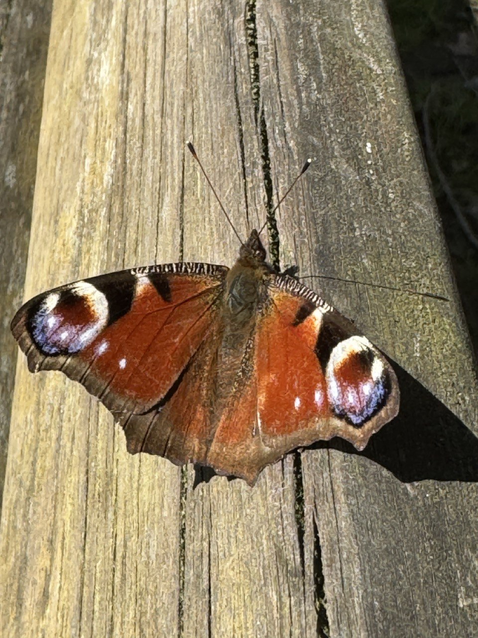 L&rsquo;Esprit rédempteur