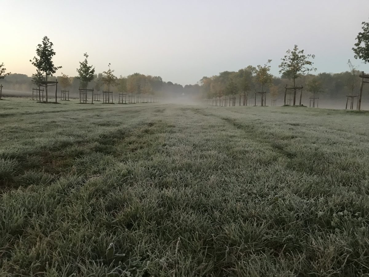 À hauteur d&rsquo;enfants